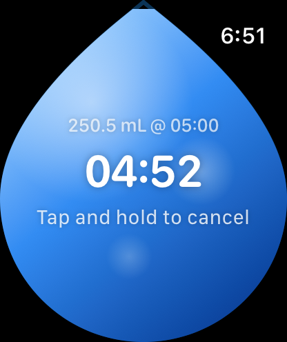 H₂O Timer running screen reading 250.5 mL at 05:00, with 4 minutes 52 seconds remaining.